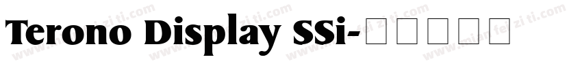 Terono Display SSi字体转换